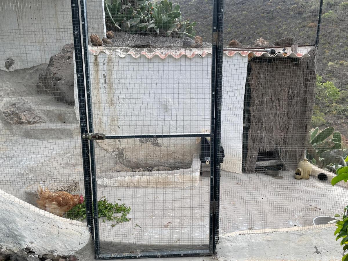 Casa Azul Βίλα Guía de Isora Εξωτερικό φωτογραφία