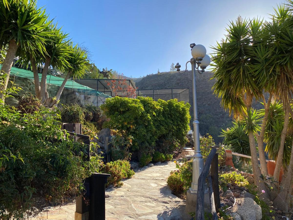 Casa Azul Βίλα Guía de Isora Εξωτερικό φωτογραφία