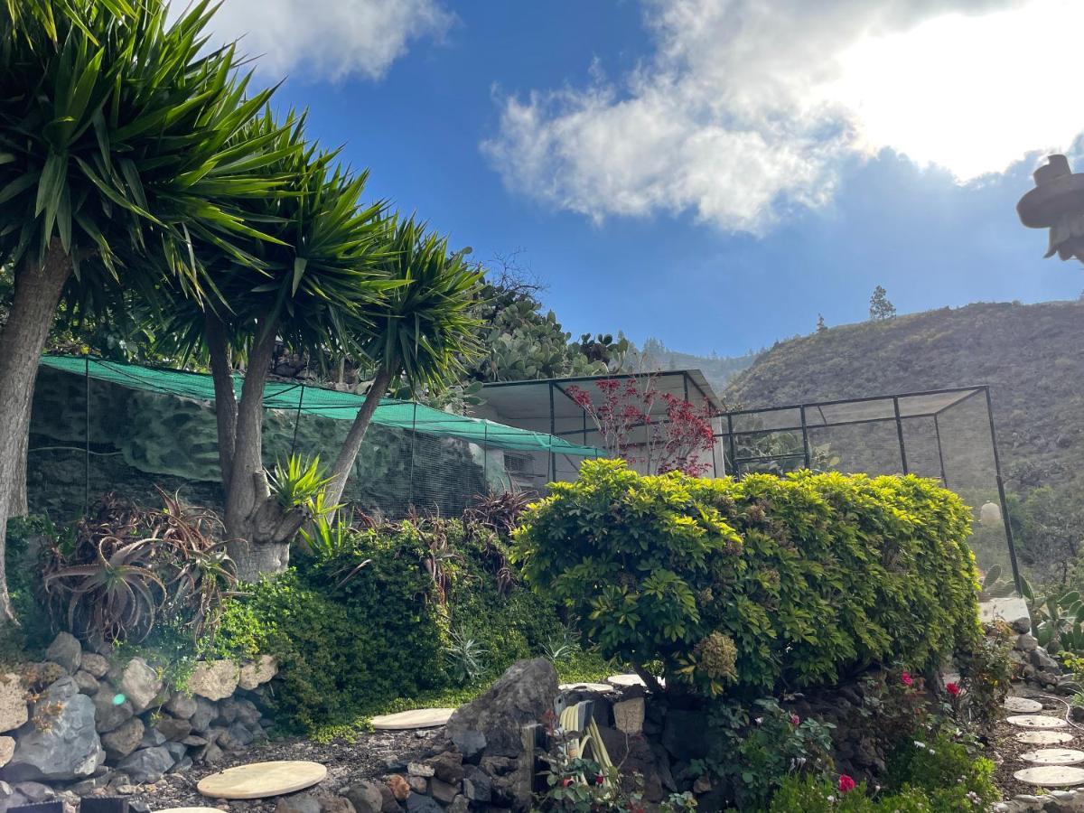 Casa Azul Βίλα Guía de Isora Εξωτερικό φωτογραφία